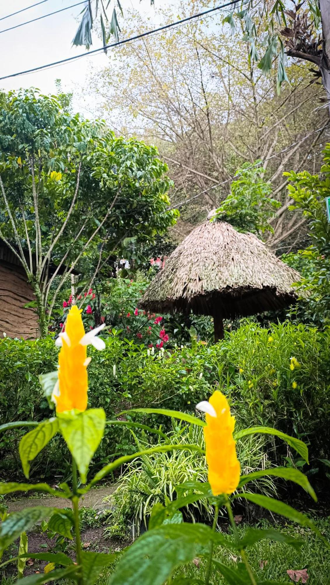 Eco-Hotel Mayachik San Juan La Laguna Exteriör bild