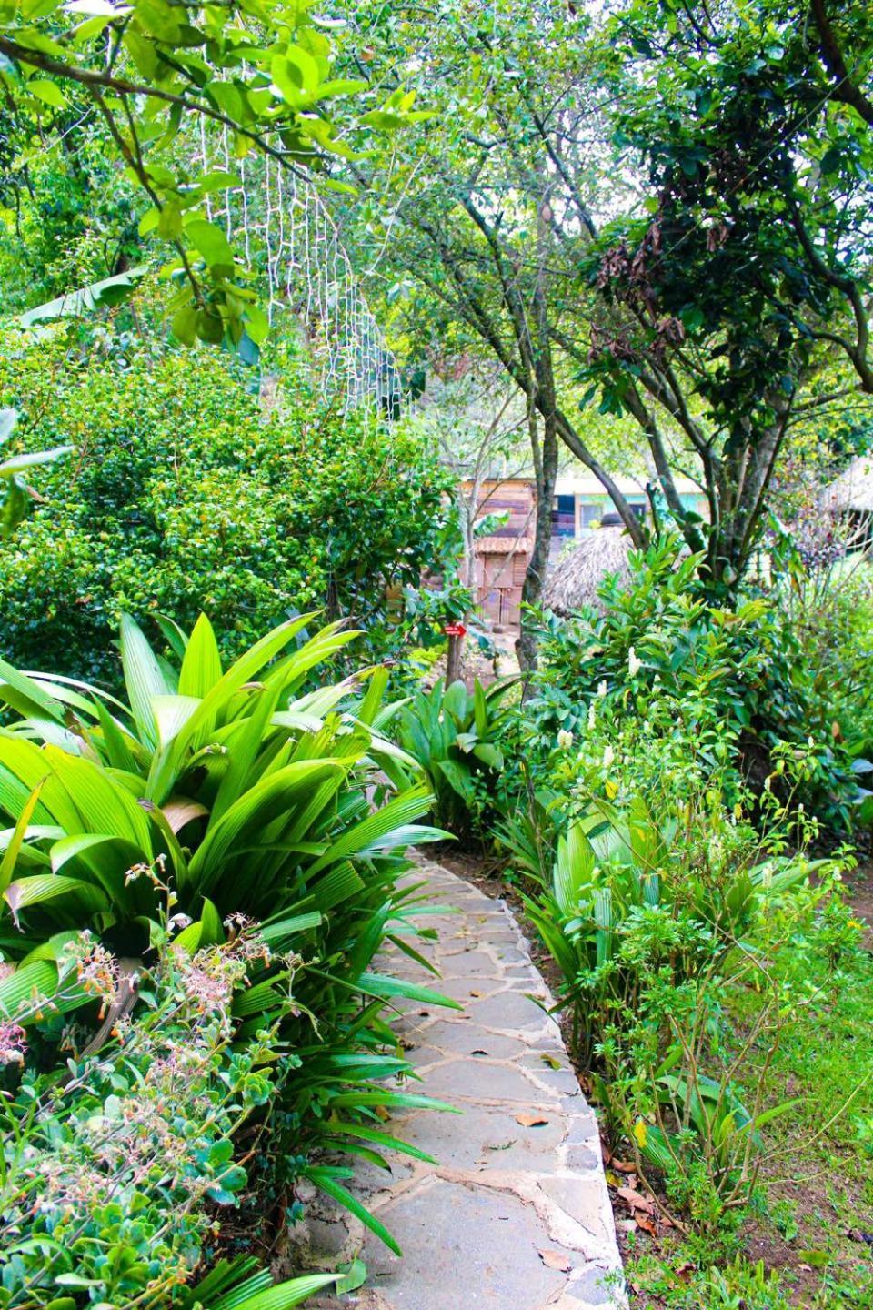 Eco-Hotel Mayachik San Juan La Laguna Exteriör bild